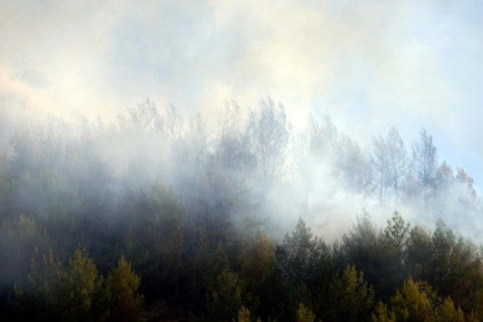 Φωτιά κοντά στη Μονή Αγκαράθου στο Ηράκλειο